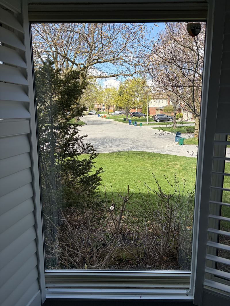 Clear window after King Glass replacement