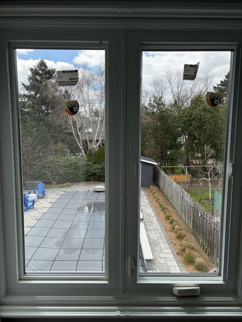 Crystal clear backyard view after King Glass replacement