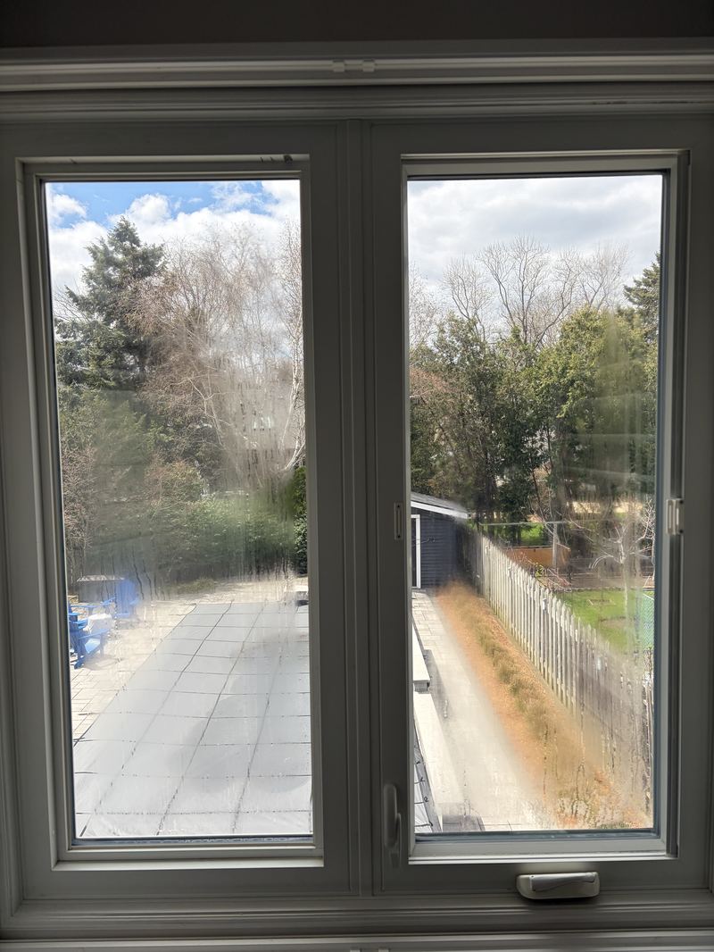 Hazy backyard window before replacement